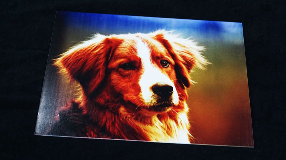 foam board printing machine