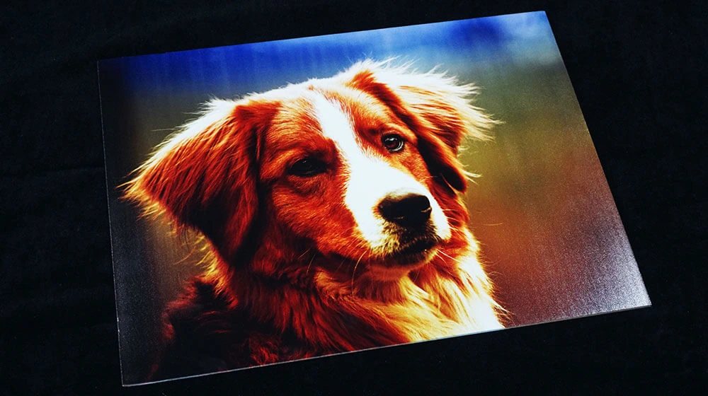 foam board printing machine