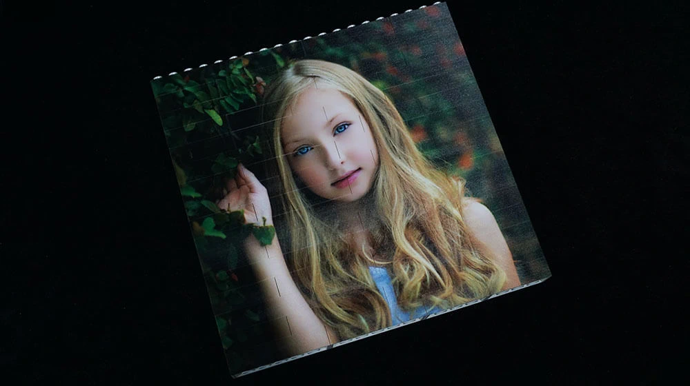 Portrait Photos printing by lego brick printer