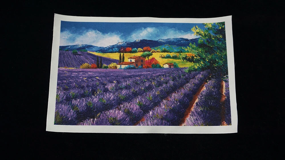 non woven bag printing machine print on canvas