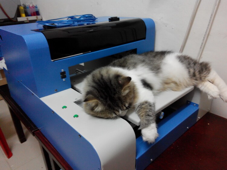 Malaysia A3 DTG Printer
